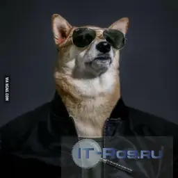 Ландшафтный Дизайн 3D